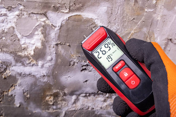 Best Post-Flood Mold Remediation in Pasadena Hills, FL