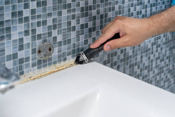 Best Mold Remediation for Schools in Pasadena Hills, FL