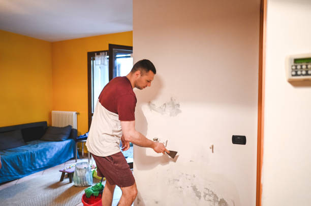 Best HVAC Mold Remediation in Pasadena Hills, FL
